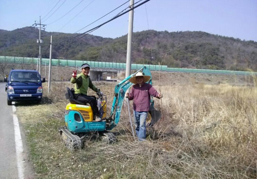 나무심기