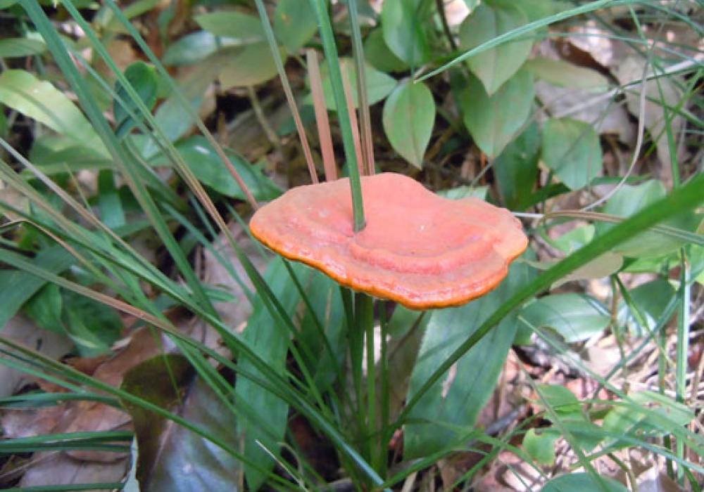 마을 산행