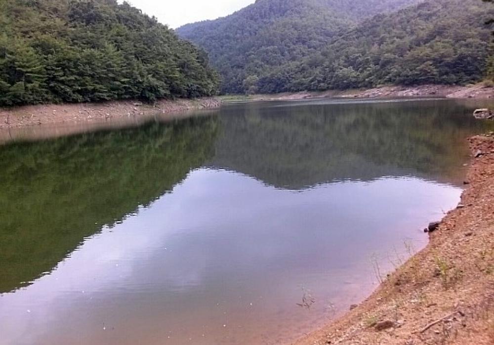 마을 저수지에 메기 방류