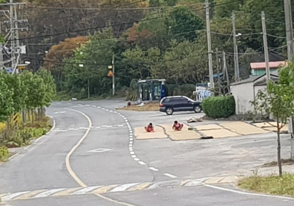 가을 가을하는 우리동네 가을속으로